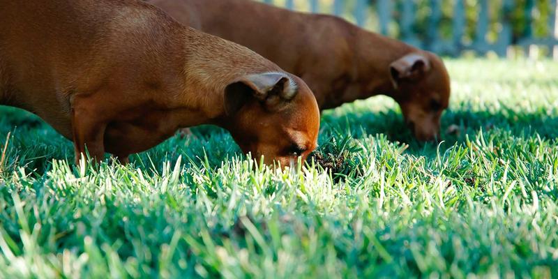 Turkey34: A Journey Through History, Heritage, and Modern Tourism