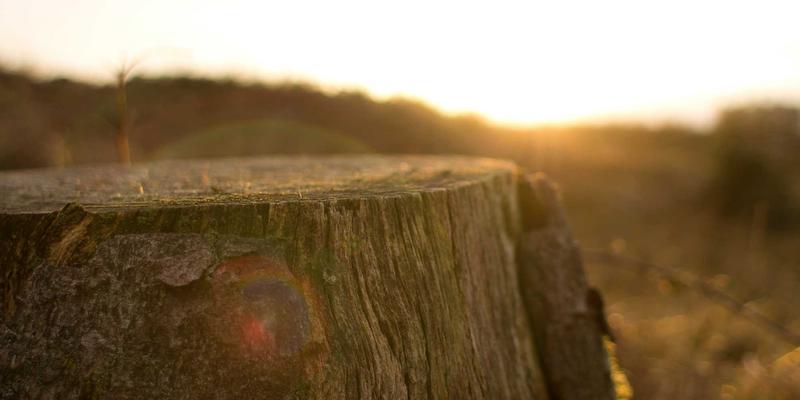 Turkey46：解码土耳其的46个文化密码与旅行精髓