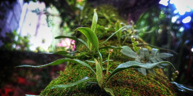 Turkey59:解码土耳其美食密码,一场跨越千年的味觉遗产之旅