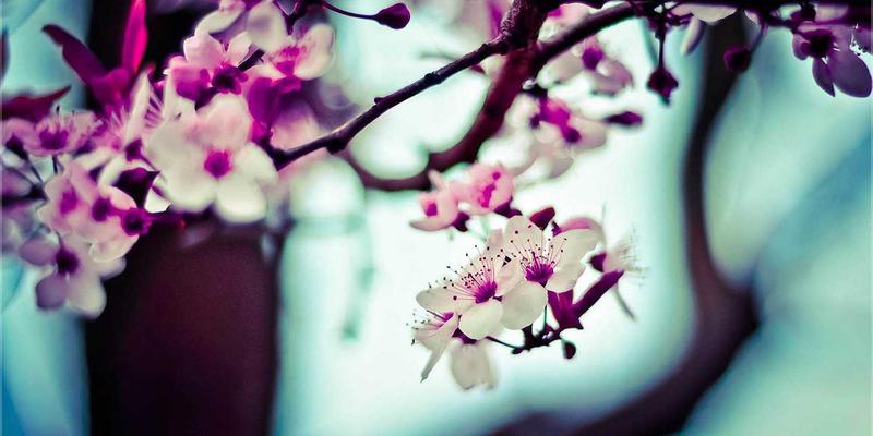 Turkey60:穿越六千年文明遗产的沉浸式旅行指南