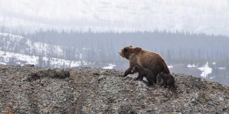 Turkey7: Unveiling the Magic of Turkish Culture in Istanbul