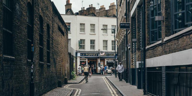 凡城猫保护项目：从历史深处到伊斯坦布尔，Guldogru如何守护土耳其文化遗产