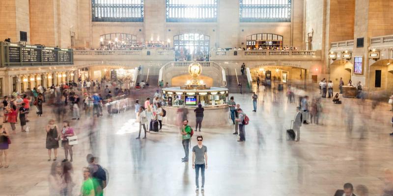 土耳其鸟类观察生态游：探索库什湖国家公园的候鸟迁徙历史与自然奇观