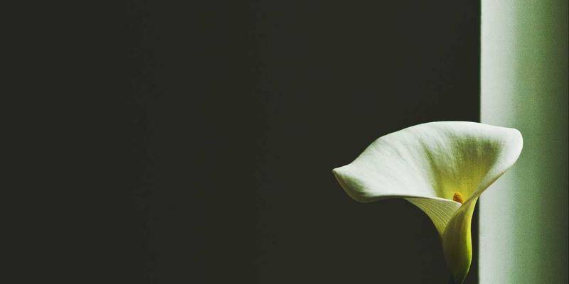 悬崖上的信仰史诗：探索土耳其特拉布宗苏美拉修道院的历史与文化