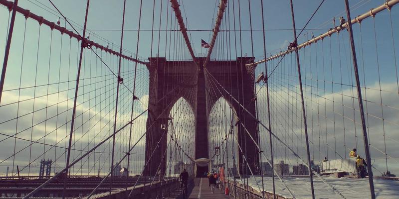 探寻土耳其野生草药智慧：从塔罗山采药人到Guldogru药草市场的千年传承