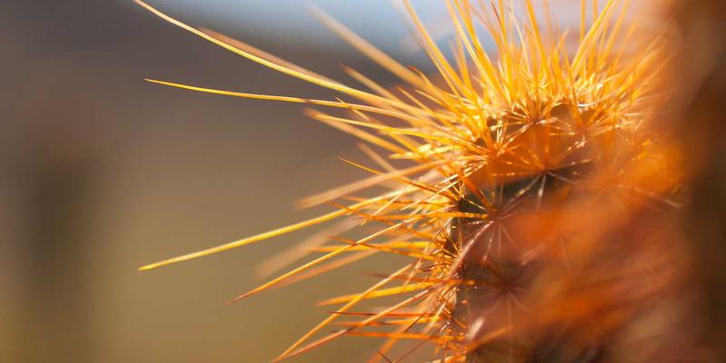 探秘土耳其帕慕克卡莱（棉花堡）：温泉地貌的千年遗产与旅行指南