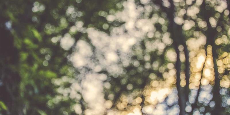 穿越时空的蔚蓝探秘：土耳其水下考古遗址与地中海沉船潜水全攻略